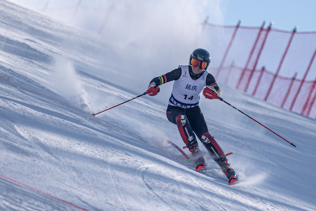 Alpine Skiing 1