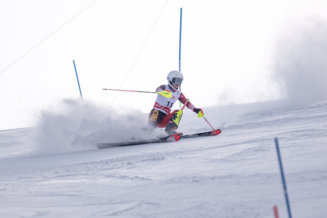 Alpine Skiing 7