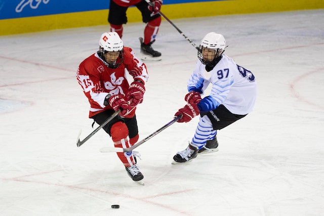 ICE HOCKEY RACE 2