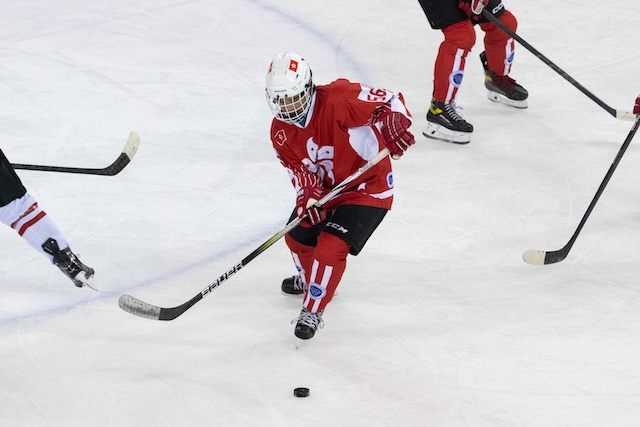 ICE HOCKEY RACE 2