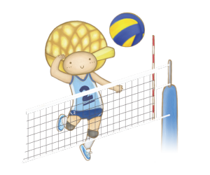 volleyball