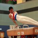 2011年全港競技體操公開及新秀比賽 暨 國際邀請賽 （趙惠中盃）