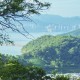 香港山路錦標賽2025