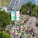 第十五屆全國運動會 香港賽區 - 跨境田徑馬拉松