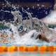 Inter-School Swimming Competition 2025-2026 (D1)