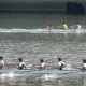 中銀香港第54屆體育節 - 短途皇賽艇爭霸戰