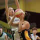 香港籃球聯賽