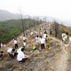 《綠野先鋒》 「植樹 + 遠足比賽」