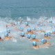 新世界維港渡海泳2011