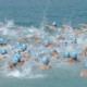 第39屆吐露港渡海泳公開賽