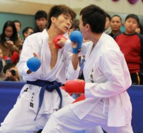 2011年度全港空手道大賽