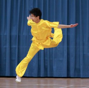 沙田區武術公開賽2012