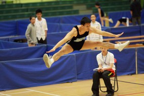 2010年全港十八區健美體操分齡比賽