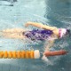 Spring Masters Swimming Championship