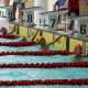 2012沙田盃(第五屆)新秀游泳錦標賽