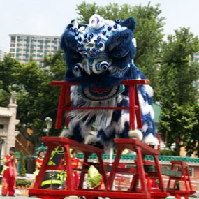 2009國慶盃傳統獅藝邀請賽