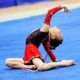 中銀香港第五十五屆體育節 2012 年全港技巧體操公開賽