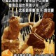慶祝香港回歸15周年中國武術散手「香港盃」公開賽暨第四屆世界青少年武術錦標賽(散手)選拔賽
