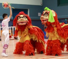 全港公開龍獅藝錦標賽2012