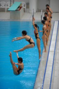內地奧運金牌精英顯風采 - 跳水示範表演