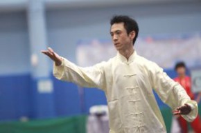 元朗區體育節2012 - 湖南省中國武術大匯演