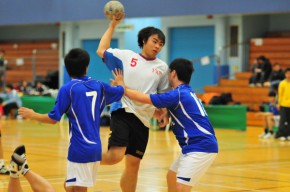 手球比賽 2012-2013