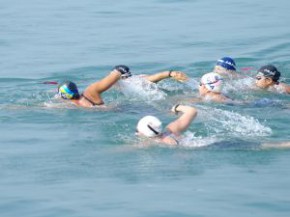 2012/13 Hong Kong Open Water Swimming Competition (Part 3)