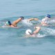 2012/13 Hong Kong Open Water Swimming Competition (Part 3)