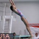 Diving Competition Series (Part 3)