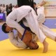 香港國際柔道錦標賽