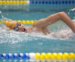 Hong Kong Age Group Short Course Swimming Championships 2013
