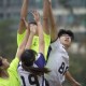 沙灘合球賽 2013