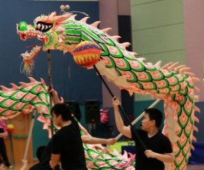 第4屆全港公開技能舞龍錦標賽