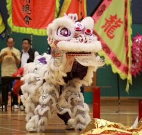 全港公開龍獅藝錦標賽2013