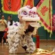 全港公開龍獅藝錦標賽2013