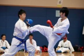 中銀香港第56屆體育節 -2013年全港空手道成人色帶組別大賽