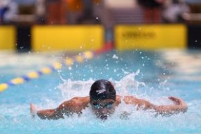 Diving Competition Series (Part 2)