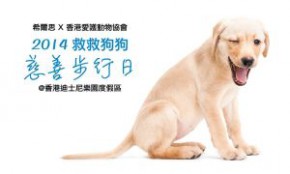 SPCA 2014 救救狗狗慈善步行日