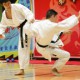 《第十一屆香港武術名家匯演》