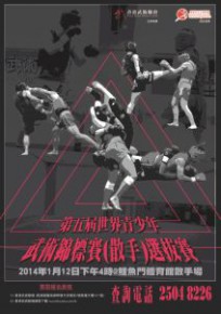第五屆世界青少年武術錦標賽(散手)選拔賽