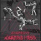 第五屆世界青少年武術錦標賽(散手)選拔賽