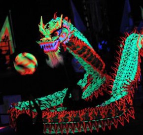 香港夜光龍醒獅錦標賽2014