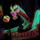香港夜光龍醒獅錦標賽2014
