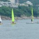 香港滑浪風帆公開錦標賽2014