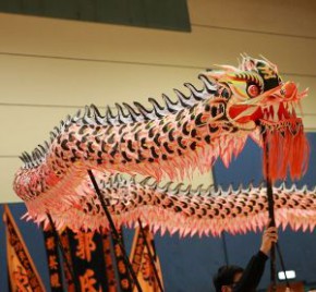 第十五屆全港公開夜光龍錦標賽 2014