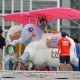Red Bull Flugtag飛行日