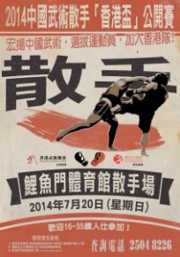 2014 中國武術散手「香港盃」公開賽