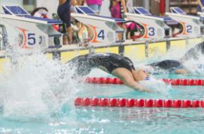 2014年香港國際公開游泳錦標賽