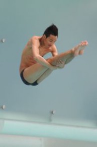 Hong Kong Open Diving Championships