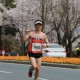 韓國慶州櫻花馬拉松